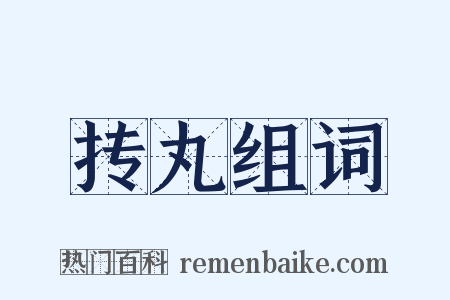 抟丸组词是什么意思的图片